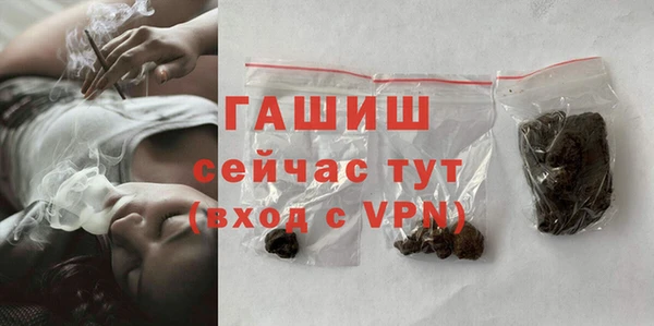 крисы Бородино