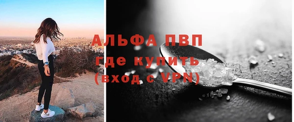 крисы Бородино