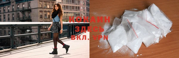 крисы Бородино