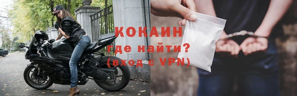 крисы Бородино