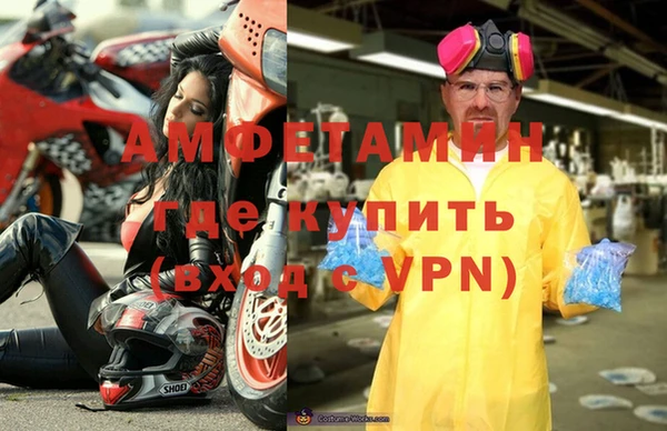 крисы Бородино