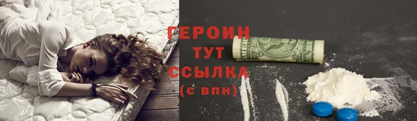 крисы Бородино