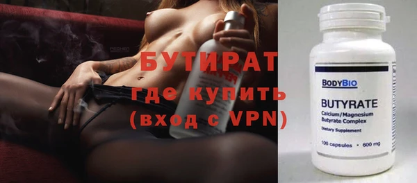 крисы Бородино