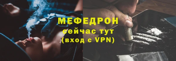 крисы Бородино