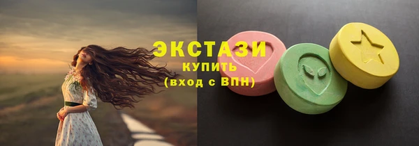 крисы Бородино