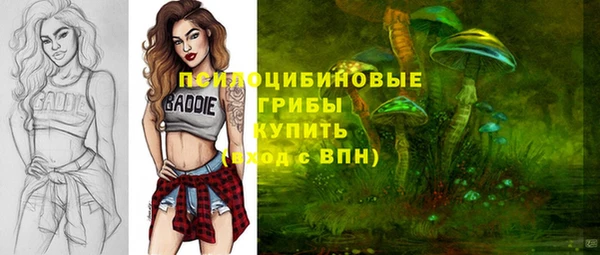 крисы Бородино
