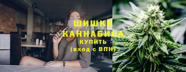 крисы Бородино