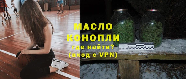 крисы Бородино
